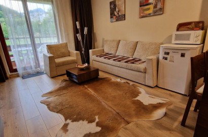 Southern one-bedroom apartment for sale in the hotel part of Green life, Bansko