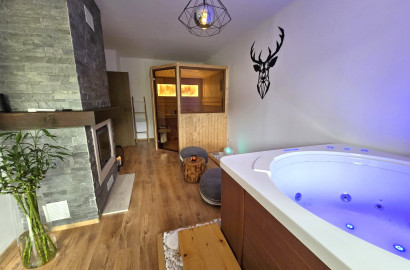 Luxury one-bedroom apartment with own SPA room with jacuzzi and sauna