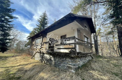 Villa for sale near Razlog and Bansko, Predela area