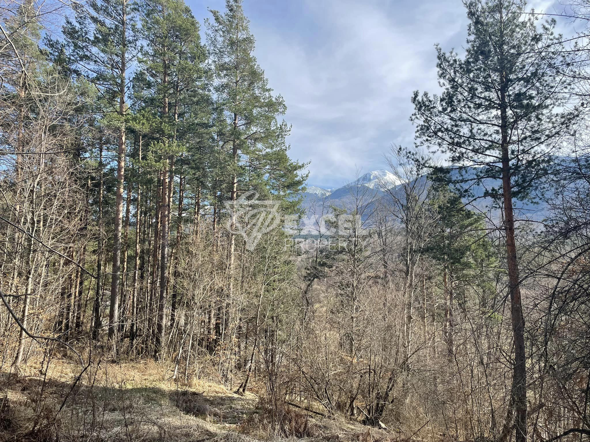 Villa for sale near Razlog and Bansko, Predela area