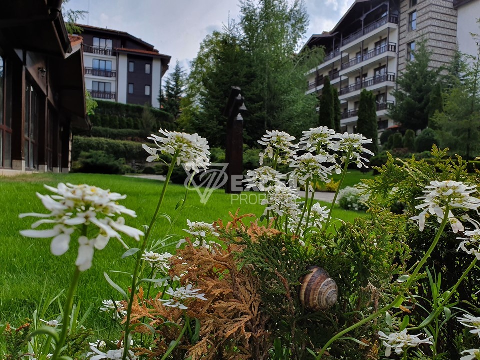 Spacious one bedroom apartment for sale in the hotel area of ​​Winslow Infinity