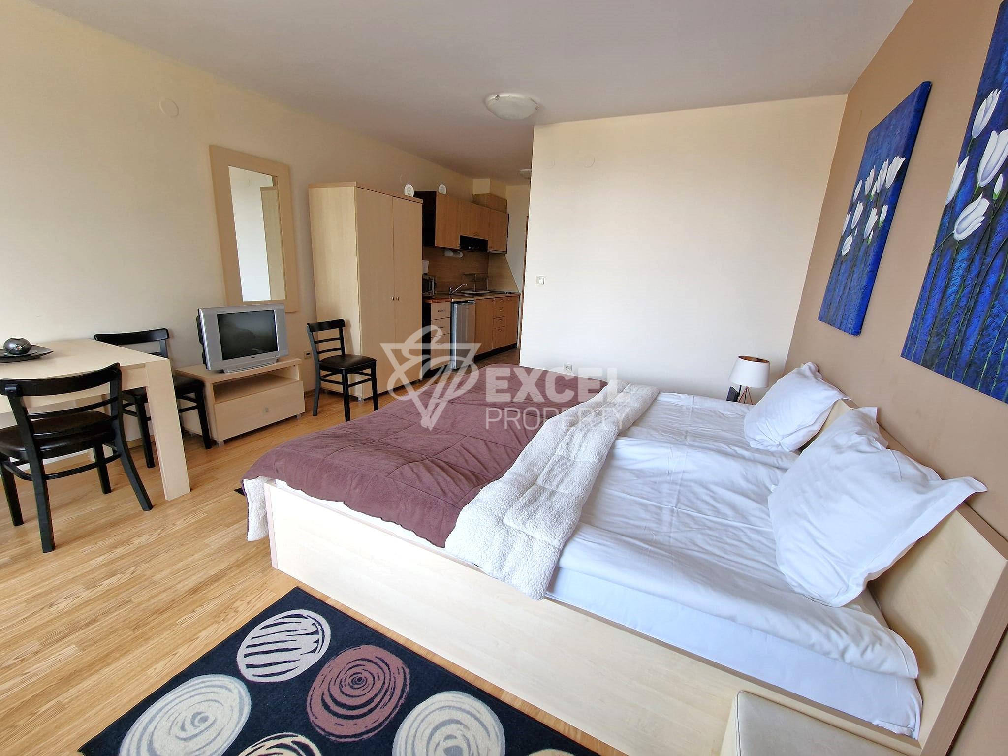 Studio with a terrace and new furniture at a bargain price for sale in Aspen Suites, Razlog Area