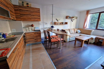 Exclusive two bedroom apartment with a fireplace at a bargain price for sale in Bansko