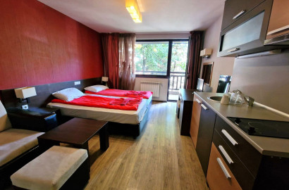 Affordable studio for sale with a low maintenance fee in the village of Banya!