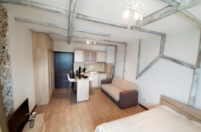 Investment in Bansko: Eco furnished studio for sale in Alpine Lodge