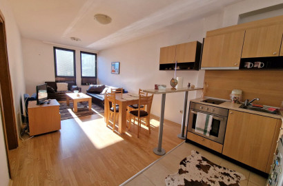 Southern one-bedroom apartment for sale in the Aspen Valley complex near Razlog