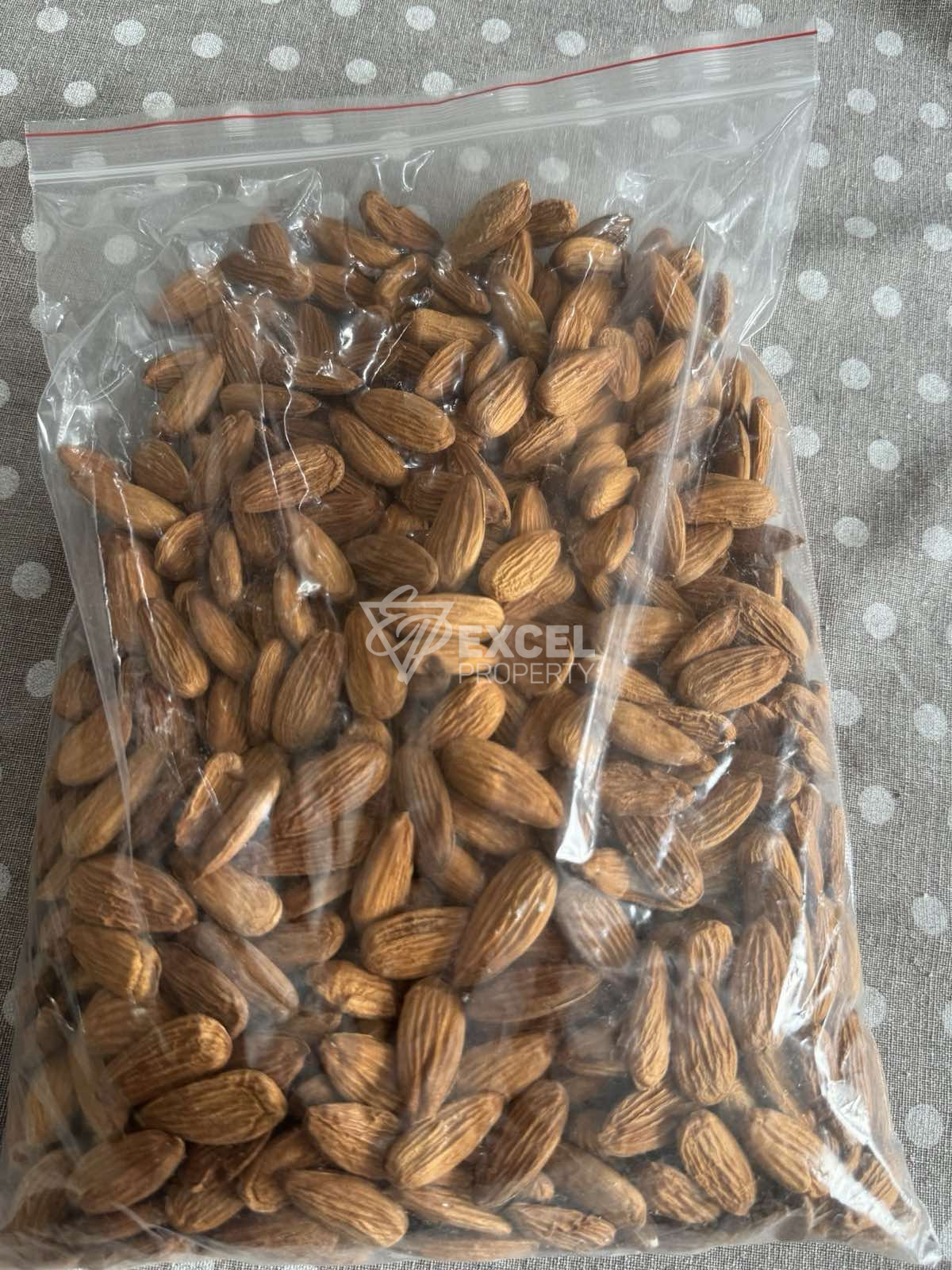 🌰 BUSINESS FOR SALE – ALMOND GARDEN IN VILLAGE OF GIULOVTSA