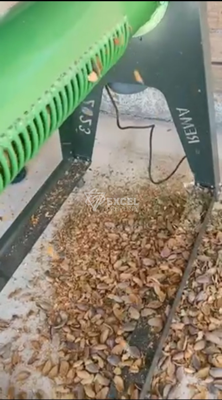 🌰 BUSINESS FOR SALE – ALMOND GARDEN IN VILLAGE OF GIULOVTSA