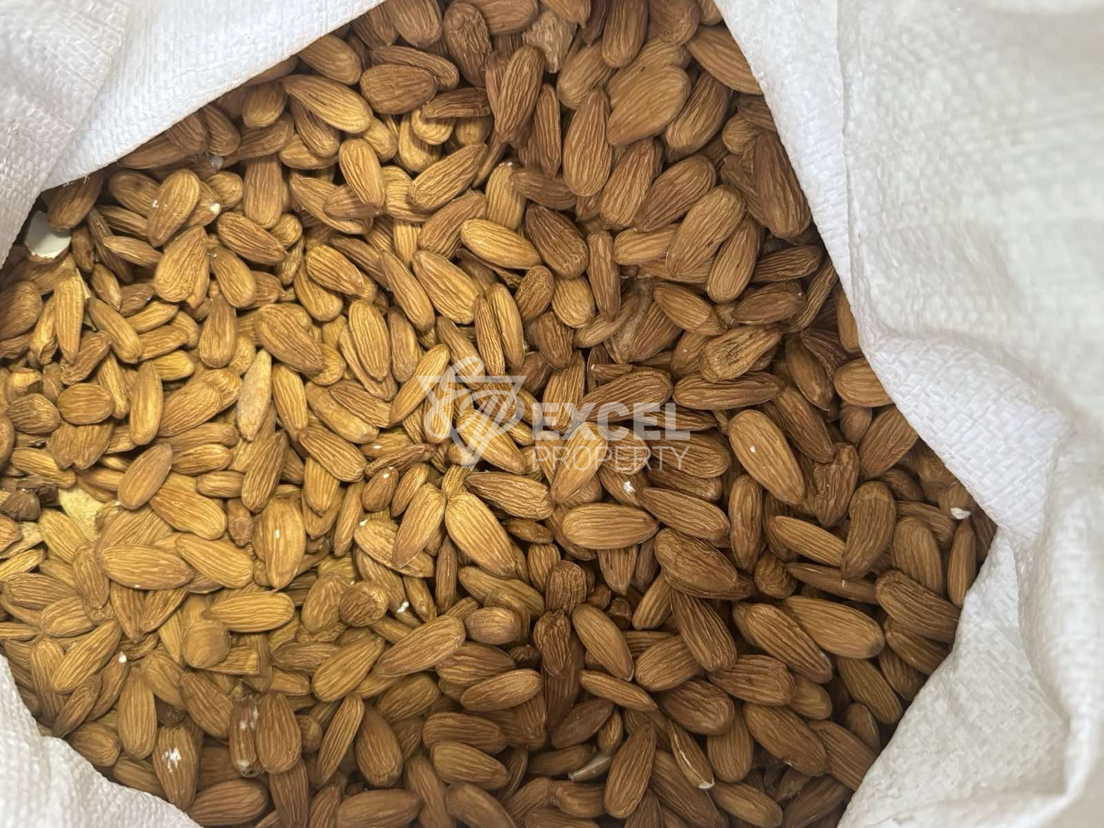 🌰 BUSINESS FOR SALE – ALMOND GARDEN IN VILLAGE OF GIULOVTSA