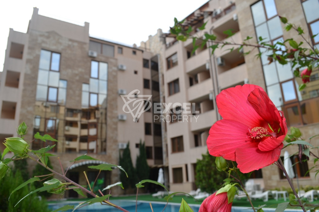 Beautifully furnished one-bedroom apartment in the center of Sunny Beach